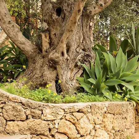 Residenza Terrazze Sul Mare Bed & Breakfast 3*